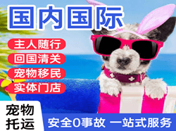 菏泽牡丹航空快递国际宠物托运 【国